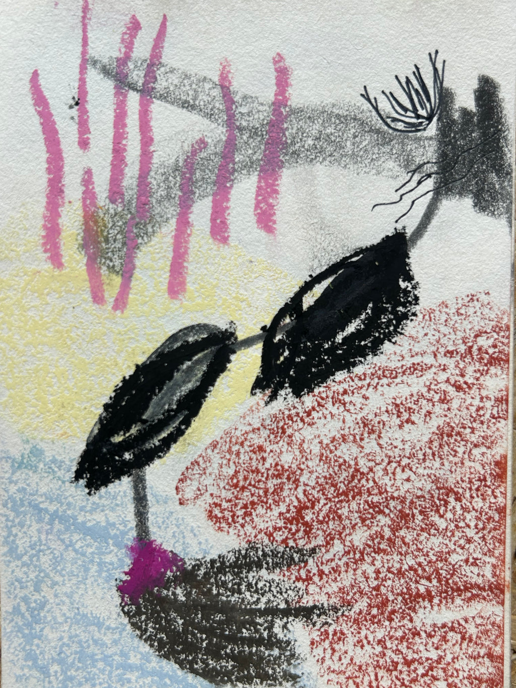 Petit format végétal à dominante noir