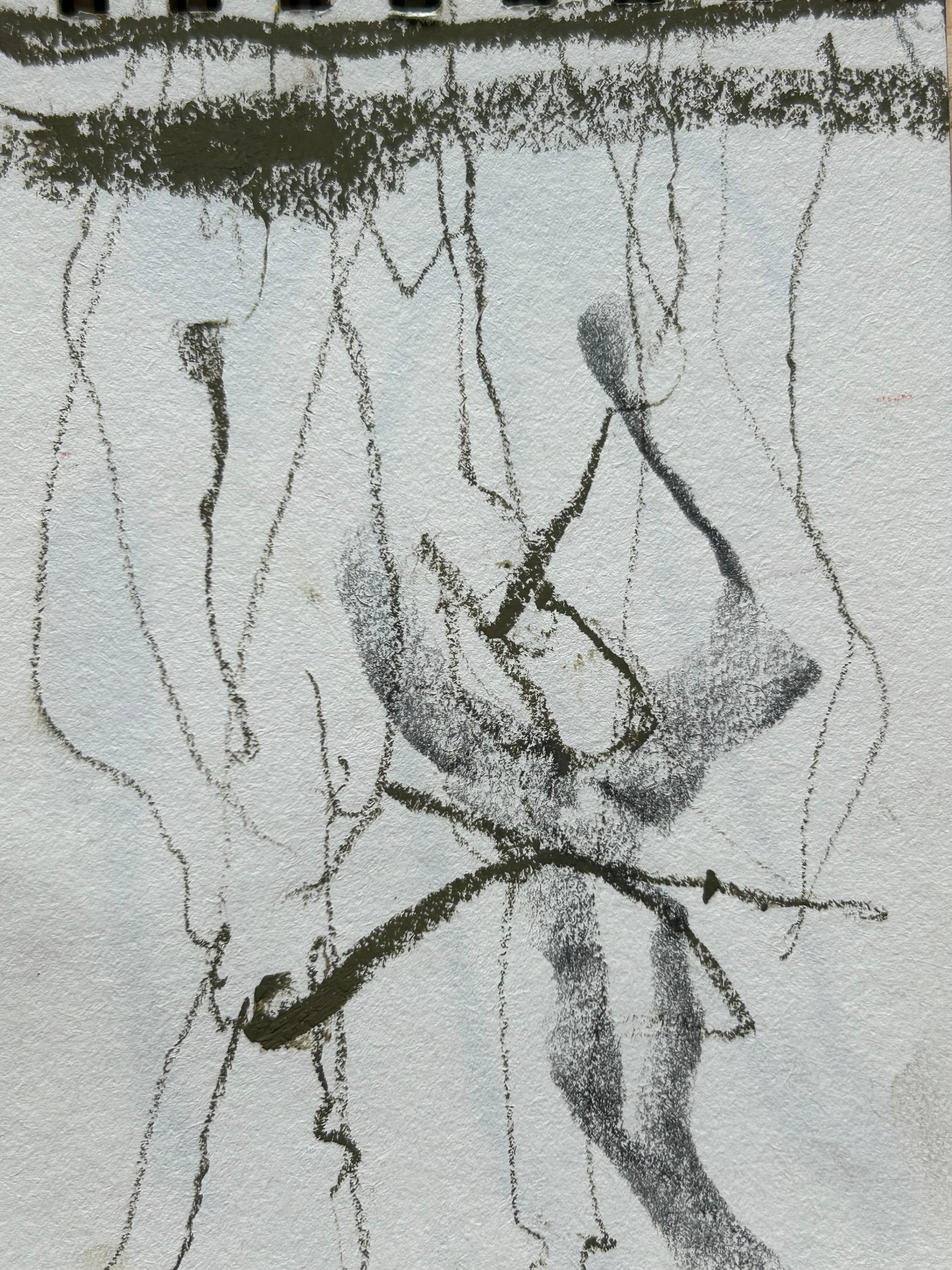 Petit format végétal à dominante noire