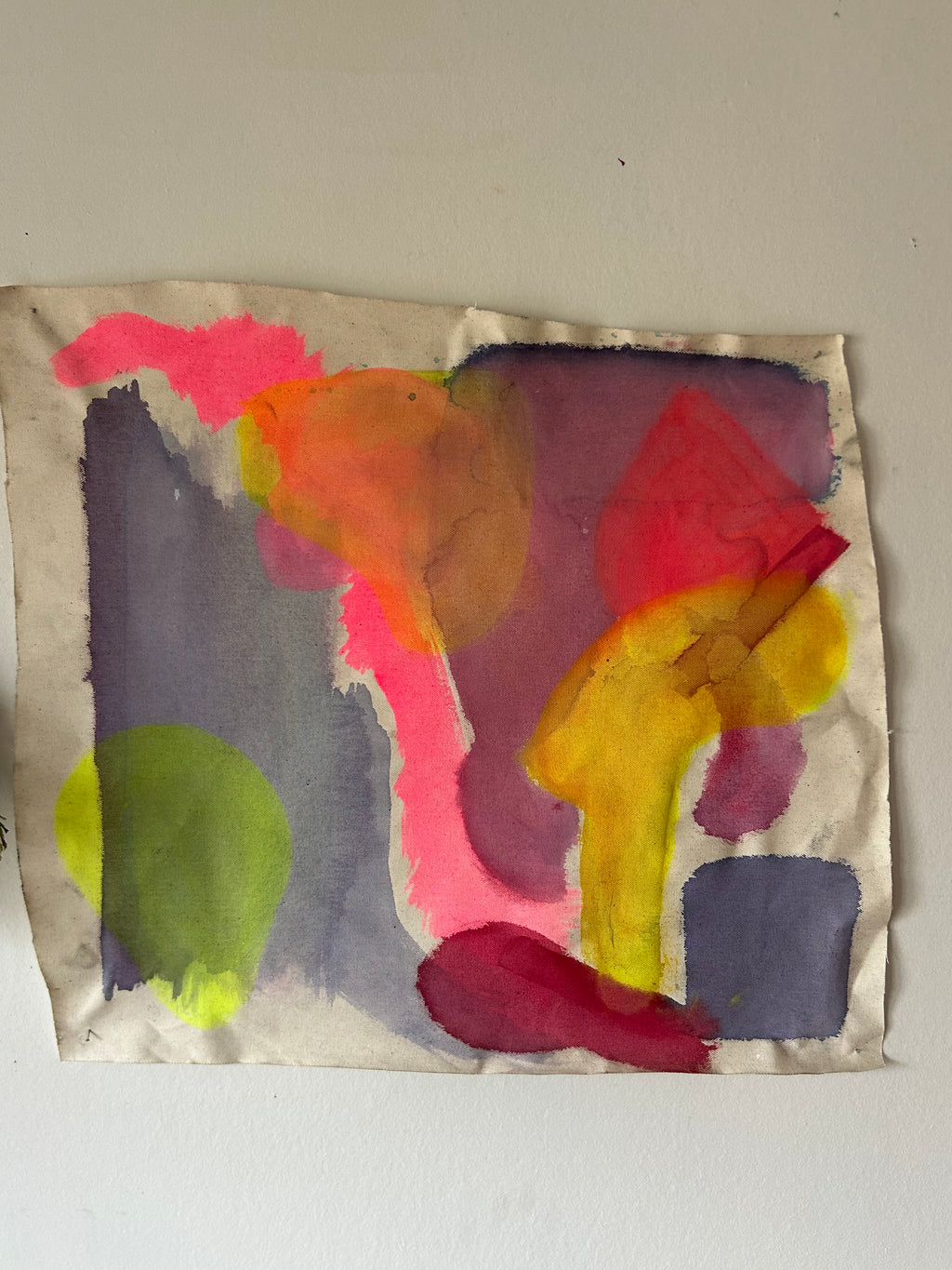 Des champs Normands l'été